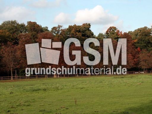 B-Herbststimmung 095.jpg